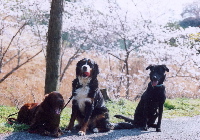 060407 3-200.jpg